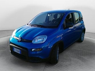 Auto Usate A Avellino | Fiat Panda My24 1.0 70Cv Hybrid Panda