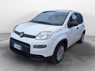 Auto Usate A Avellino | Fiat Panda My24 1.0 70Cv Hybrid Panda