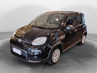 Auto Usate A Salerno | Fiat Panda 1.0 70Cv Hybrid Panda