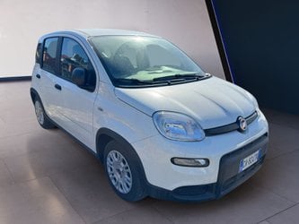 Auto Usate A Salerno | Fiat Panda 1.0 70Cv Hybrid Panda