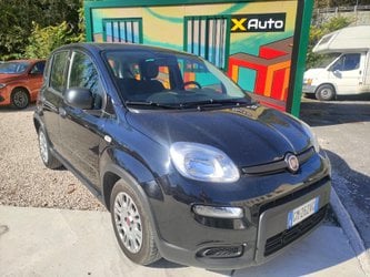 Auto Usate A Avellino | Fiat Panda 1.0 70Cv Hybrid Panda