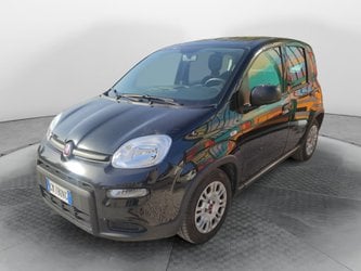 Auto Usate A Avellino | Fiat Panda 1.0 70Cv Hybrid Panda