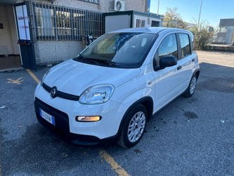Auto Usate A Avellino | Fiat Panda My24 1.0 70Cv Hybrid Panda