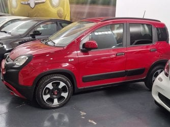 Auto Usate A Avellino | Fiat Panda 1.0 70Cv Hybrid Cross