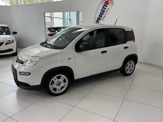 Auto Usate A Avellino | Fiat Panda 1.0 70Cv Hybrid Panda