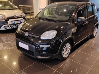 Auto Usate A Salerno | Fiat Panda 1.0 70Cv Hybrid Panda