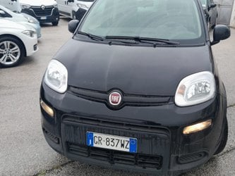 Auto Usate A Salerno | Fiat Panda 1.0 Firefly Hybrid S&Amp;S 70Cv
