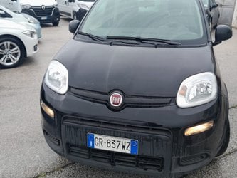 Auto Usate A Salerno | Fiat Panda 1.0 Firefly Hybrid S&Amp;S 70Cv