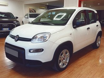 Usate A Avellino | Fiat Panda 1.0 70Cv Hybrid Panda
