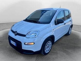 Auto Usate A Avellino | Fiat Panda My24 1.0 70Cv Hybrid Panda