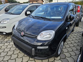 Auto Fiat Panda 1.0 Firefly S&S Hybrid - Km Zero Km0 A Lucca