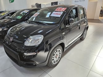 Auto Fiat Panda 1.0 Firefly S&S Hybrid Km0 A Lucca
