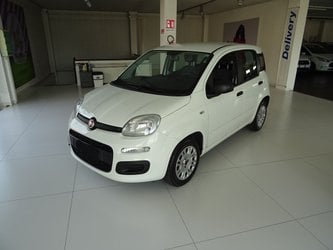 Auto Fiat Panda 1.3 Mjt 95 Cv S&S Easy Usate A Lucca