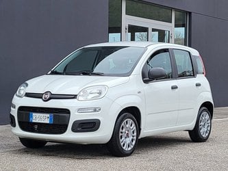 Auto Fiat Panda 1.2 Easy 35.000 Km Usate A Foggia