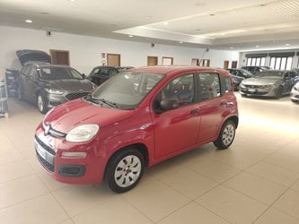 Auto Fiat Panda 1.2 70Cv Easy Clima Ok Neopatentato Abs Usate A Brescia