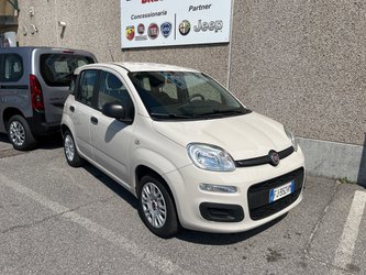 Auto Fiat Panda Panda 1.2 Easy Usate A Bergamo