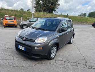 Auto Fiat Panda 1.0 Firefly S&S Hybrid Usate A Lucca