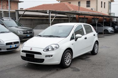 Auto Fiat Punto 1.2 8V 5 Porte Young Usate A Torino