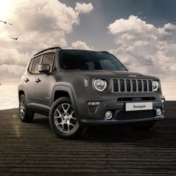 Auto Jeep Renegade 4Xe 1.3 T4 190Cv Phev 4Xe At6 Limited Usate A Perugia