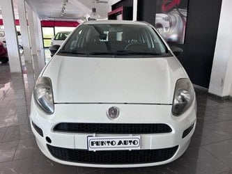 Fiat Punto 1.4 8V 5 Porte Natural Power Young Usate A Firenze