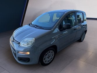 Auto Usate A Teramo | Fiat Panda Panda 1.2 Lounge S&S 69Cv My19 Benzina/Metano