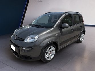 Auto Usate A Teramo | Fiat Panda Panda 1.0 Firefly Hybrid S&S 70Cv