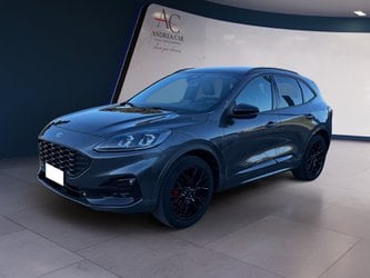 Auto Usate A Teramo | Ford Kuga Kuga 2.5 Full Hybrid St-Line X Awd 190Cv Cvt