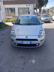 Auto Fiat Punto 1.2 8V 5 Porte Street Usate A Pescara