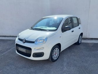 Auto Fiat Panda 1.0 Firefly 70 Cv S&S Hybrid Usate A Bari