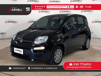 Auto Usate A Brescia | Fiat Pandina 1.0 Firefly Hybrid Pop S&S 65Cv