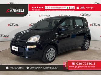 Auto Usate A Bergamo | Fiat Pandina 1.0 Firefly Hybrid Icon S&S 70Cv