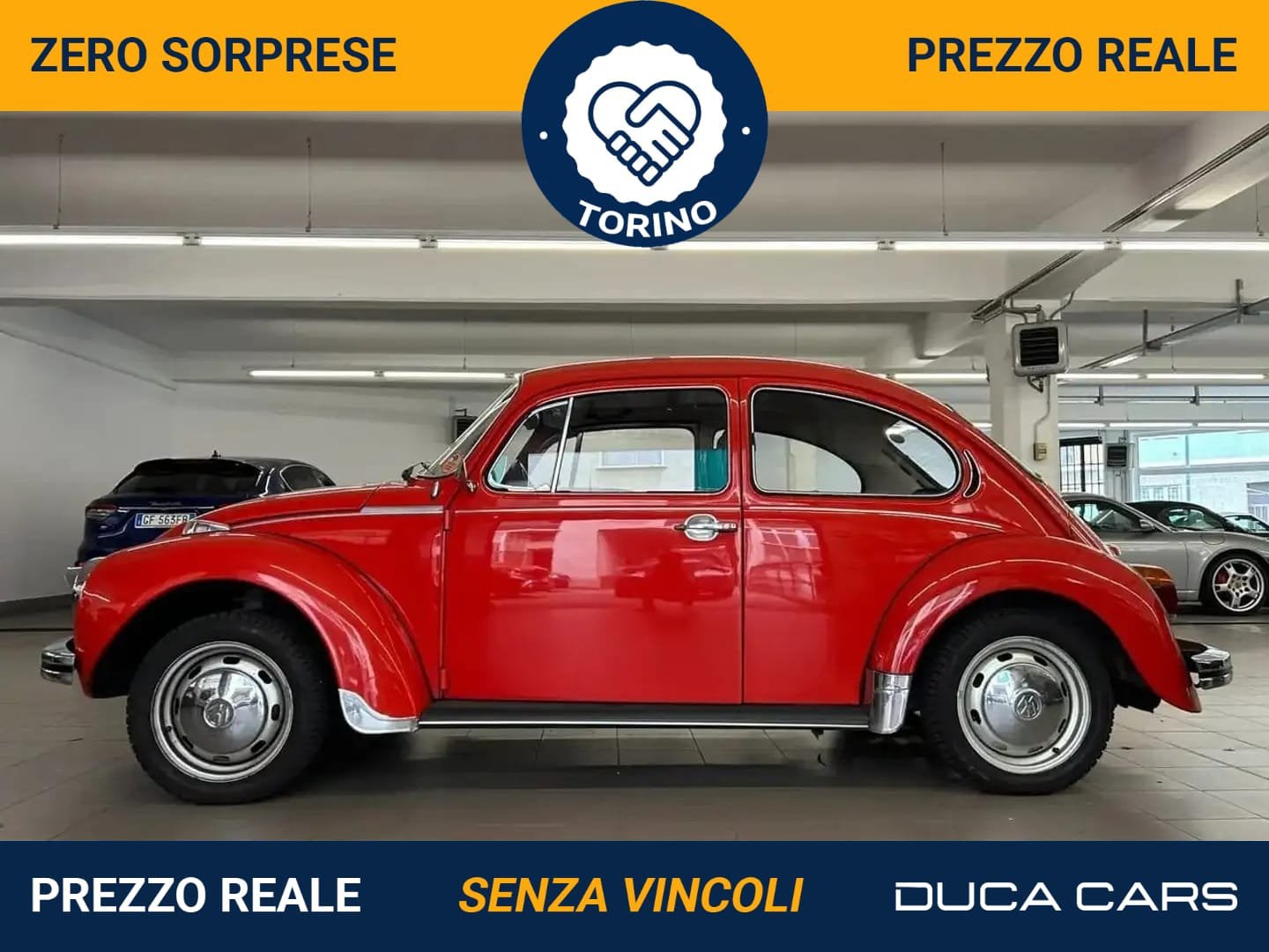 Volkswagen Maggiolino