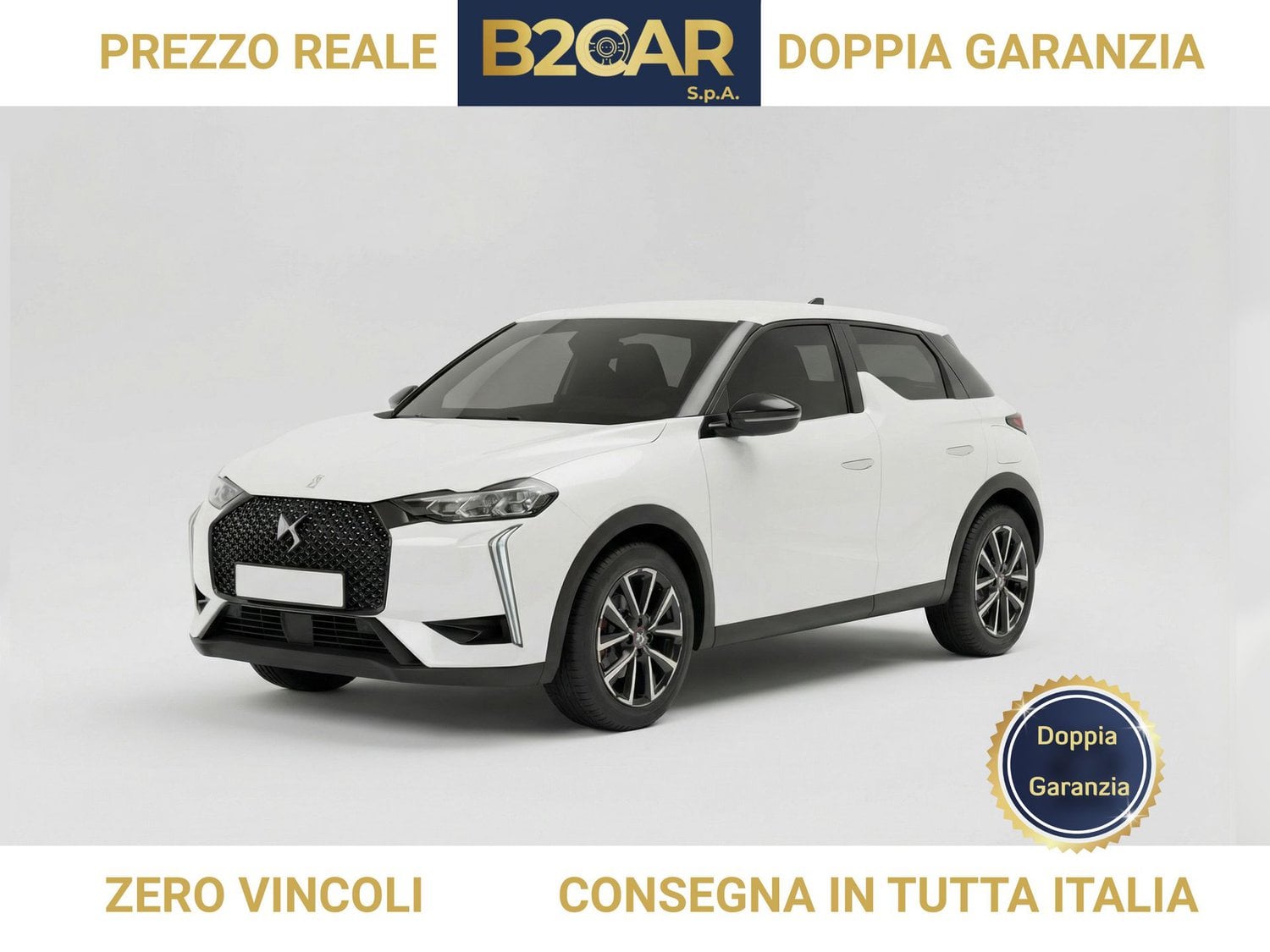 DS DS 3