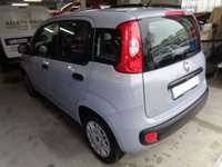 Auto Fiat Panda 1.2 Easy Usate A Arezzo
