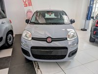 Auto Fiat Panda 1.2 Easypower Easy Usate A Arezzo