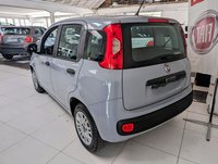 Auto Fiat Panda 1.2 Easypower Easy Usate A Arezzo