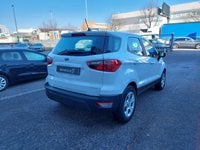 Ford EcoSport Diesel 1.5 Ecoblue 100 CV Start&Stop Plus Usata in provincia di Verona - Seven Car Srl img-2