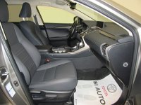 Lexus NX Ibrida Hybrid 4WD Premium Usata in provincia di Firenze - Bi Auto - S. Morese 9 Ang.V.Le Pratese img-7