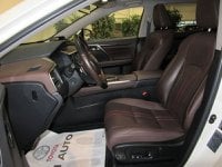 Lexus RX Ibrida Hybrid Luxury Usata in provincia di Firenze - Bi Auto - S. Morese 9 Ang.V.Le Pratese img-8