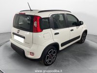 FIAT Panda Ibrida III 2021 1.0 firefly hybrid City Life s&s 70cv 5p.ti Usata in provincia di Ancona - DI.BA. - Via Mario Natalucci  snc img-4