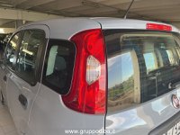 FIAT Panda GPL 2016 Benzina 1.2 Lounge easypower Gpl 69cv my19 Usata in provincia di Ancona - DI.BA. - Via Mario Natalucci  snc img-9