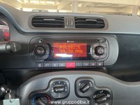 FIAT Panda GPL 2016 Benzina 1.2 Lounge easypower Gpl 69cv my19 Usata in provincia di Ancona - DI.BA. - Via Mario Natalucci  snc img-16