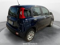 FIAT Panda GPL 3ª serie 1.2 EasyPower Easy Usata in provincia di Perugia - Toy Motor - Via Corcianese  30 img-13