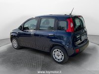 FIAT Panda GPL 3ª serie 1.2 EasyPower Easy Usata in provincia di Perugia - Toy Motor - Via Corcianese  30 img-14