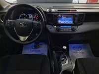 Toyota RAV4 Ibrida 2.5 Hybrid 2WD Active Usata in provincia di Roma - A. Corvi -  Piazza Cina  3 img-9