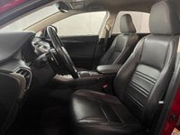 Lexus NX Ibrida 300 300 2.5 Hybrid Executive 4WD CVT Usata in provincia di Torino - Central Motors - Corso Giambone  33 img-5