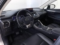 Lexus NX Ibrida 300 300 2.5 Hybrid Executive 4WD CVT Usata in provincia di Torino - Central Motors - Corso Giambone  33 img-7