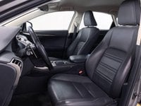 Lexus NX Ibrida 300 300 2.5 Hybrid Executive 4WD CVT Usata in provincia di Torino - Central Motors - Corso Giambone  33 img-5