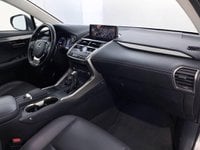 Lexus NX Ibrida 300 300 2.5 Hybrid Executive 4WD CVT Usata in provincia di Torino - Central Motors - Corso Giambone  33 img-8