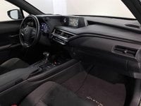 Lexus UX Ibrida 250h 2.0 Hybrid Business 2WD Power Split Device Usata in provincia di Torino - Central Motors - Corso Giambone  33 img-9